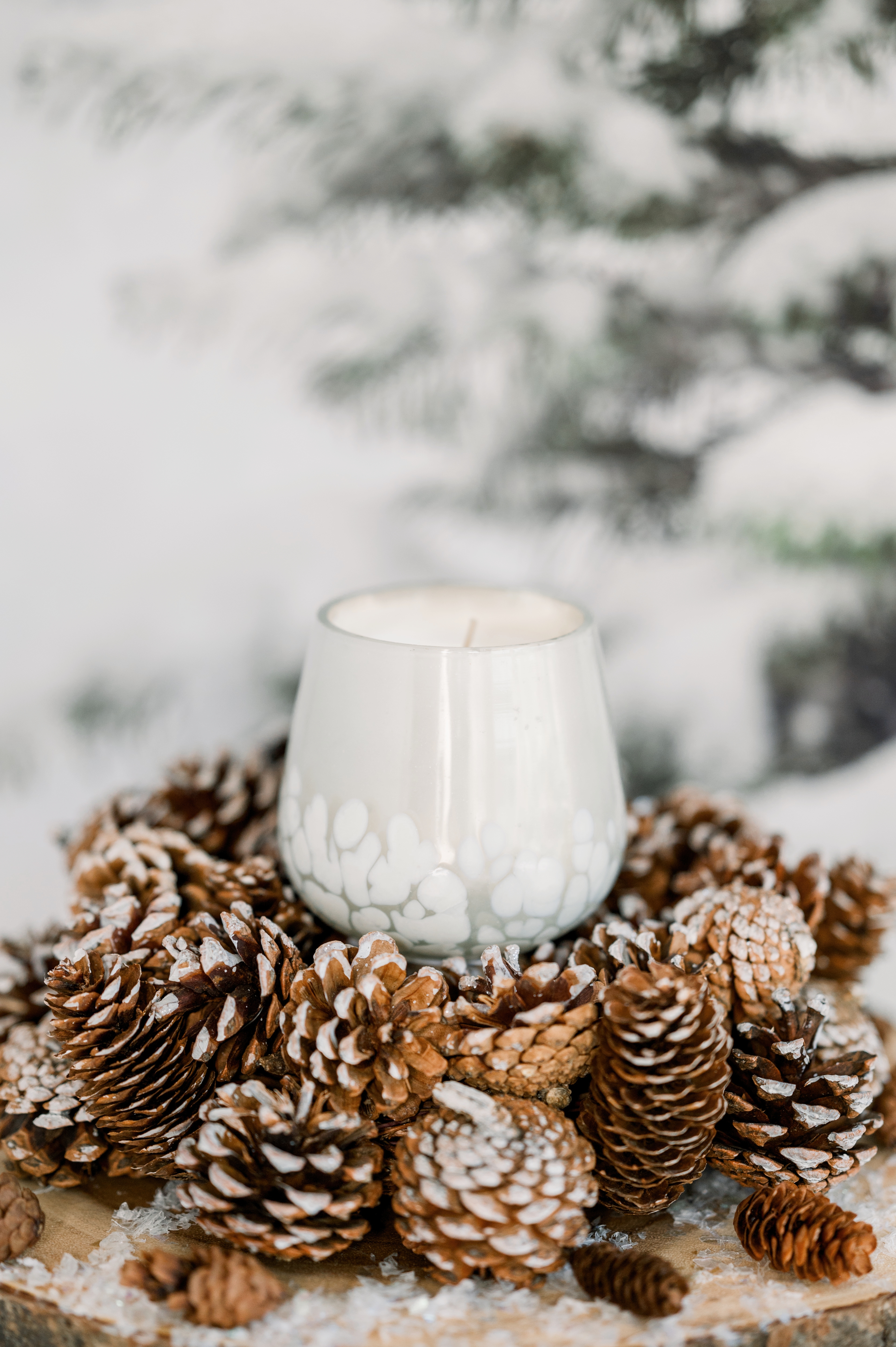 White candle in the snow and December stillness garden way.blog